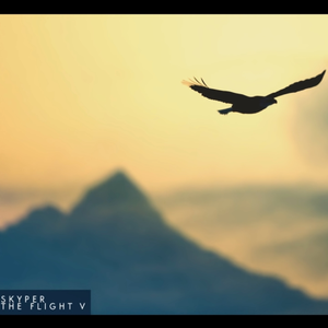 The Flight V
