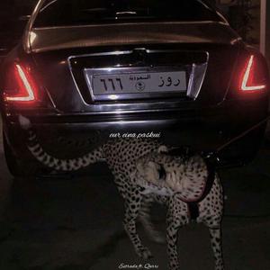 eur eina paskui... (feat. qarri)