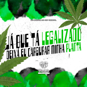 Já Que Tá Legalizado Deixa Eu Carburar Minha Planta