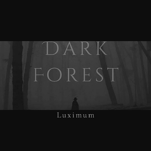 黑暗森林