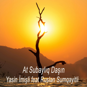 At Subaylıq Daşın
