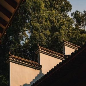 离线地图缓存四季