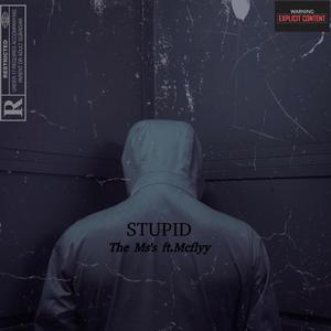 STUPID (feat. McFlyy)