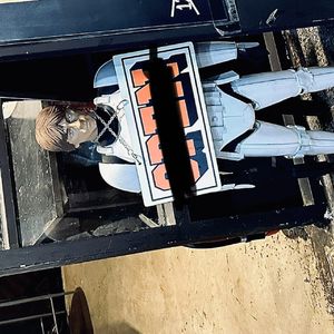 孤独带我去散步