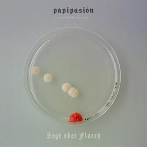 SEGE ODER FLUECH (feat. ZvZ)