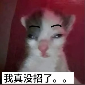 重生之小猪崽爱跳舞