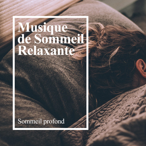 Birds in the Background