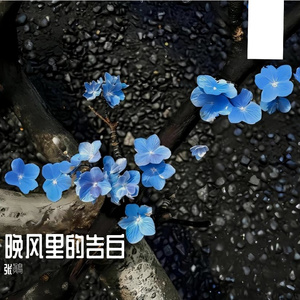 晚风里的告白 伴奏