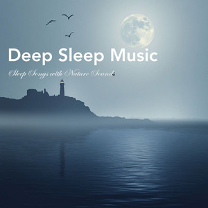 熟睡ギターBGM 睡眠の質を高めるヒーリング音楽 (自律神経を整える睡眠用 森 鳥)