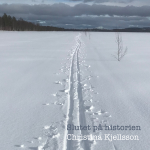Vildkatterna i Velilla