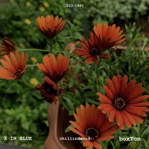 占有欲 pt.2(prod.PK)