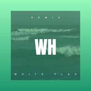 不问红尘有多远 (DJ版)