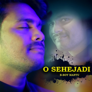 O Sehejadi