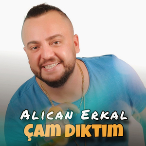 Çam Diktim