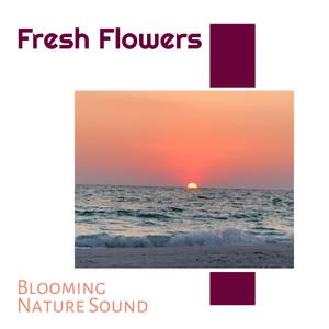 Oceanic Serenity Sea Waves