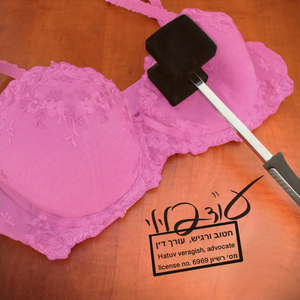 עורך דין פלילי