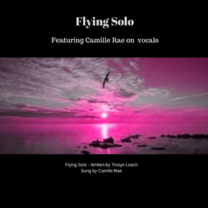 Flying Solo