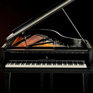 枯萎花朵的自由与心头的根