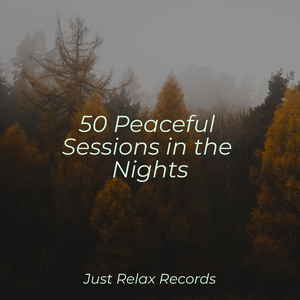 Midnight's Vanishing Dreamscape