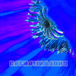 Снова кордоны