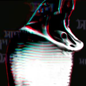 Chari dike shaap