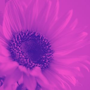 微妙的在家冥想心情