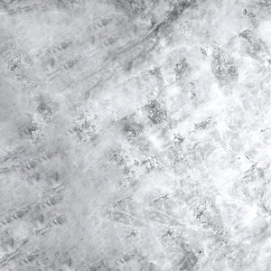 GO INSANE (Feat. 박현진, Taeyoon)