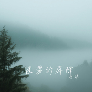 迷雾的屏障