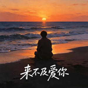 来不及爱你
