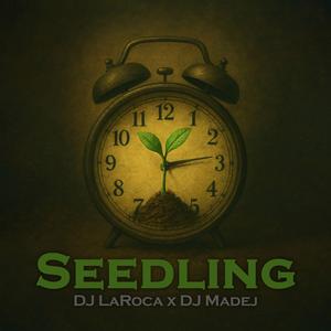 Seedling