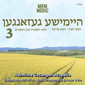 L'maancha (feat. Chezky Levy & Mikehilas Vocali)