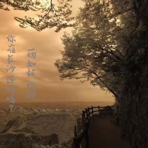 向阳奔跑（许兴村马拉松之无限动力）