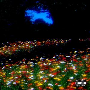 Dome (feat. iNTAKE 444)