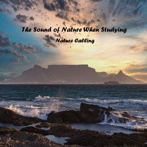 공부할 때 듣는 자연의 소리