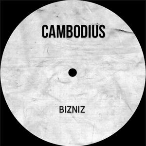 BIZNIZ