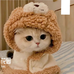 如梦初醒