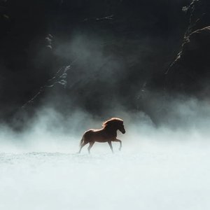 《未答的夏天》