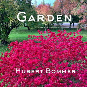 The Sky Is Full of Sounds