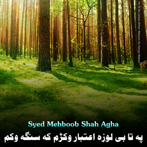 Stori Spogme Da Salgo Pa Tamasha We Da Shpe