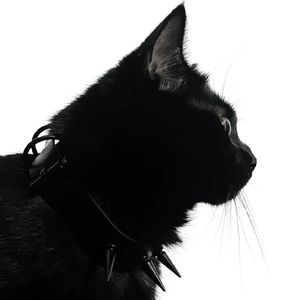 Betrayal（Y_Y阿瑶 remix）