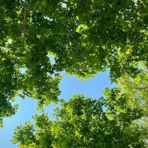 泡在半透明的梦里