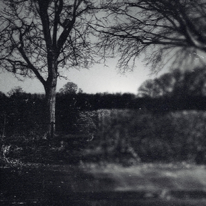 let your face do the talking (feat. FINOLA)