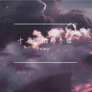 十七岁的那个你