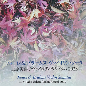 F.A.E. ソナタより第３楽章 ハ短調 スケルツオ アレグロ (feat. 須関裕子)