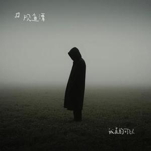 我真的可以 (Cover 郑中基)