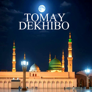 Tomay Dekhibo