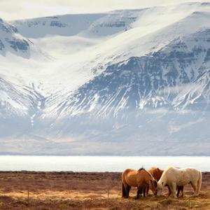 冰川骏马河 (3)