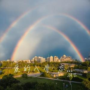 爱你爱到心碎