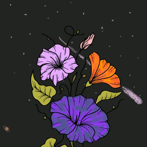 Poppy Flowers and Butterflys