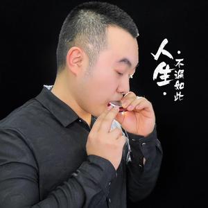 父亲写的散文诗（口琴版）